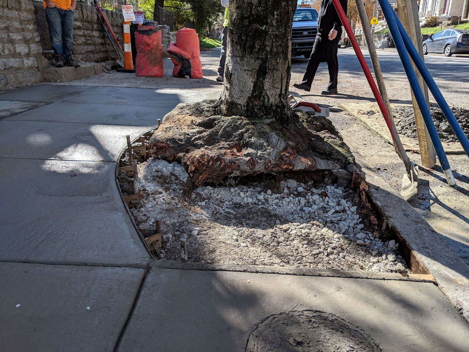 Sidewalk Built Around Tree